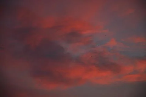  Bad feeling Stock Photos