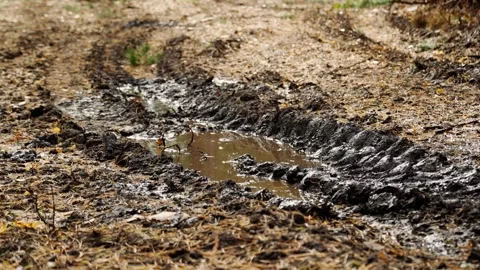 A bad forest road, broken by a logging truck passing through the forest. Stock Footage 316277921