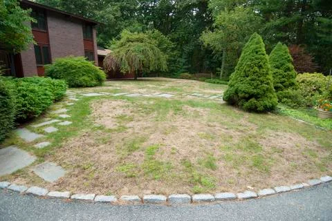 Bad front lawn Stock Photos
