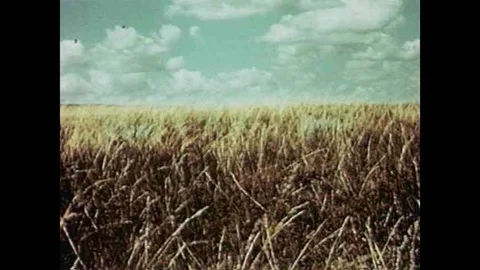 Bad land management practices by ranchers has cost the West much of it's topsoil Vidéo 106908099