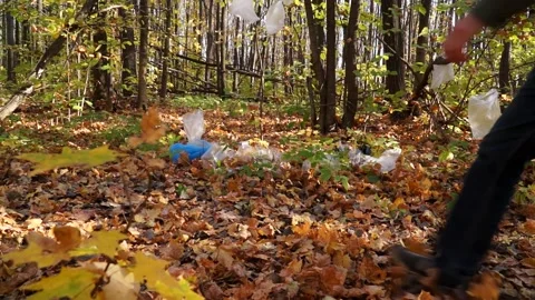 Bad man throws plastic trash in the woods Stock Footage 141899259