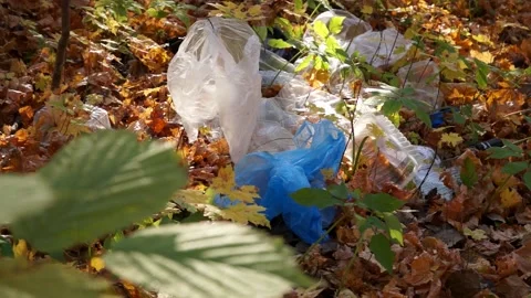 Bad man throws plastic trash in the woods Stock Footage 141899521