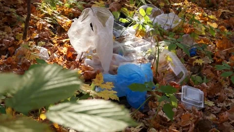 Bad man throws plastic trash in the woods. Stock Footage 141899523
