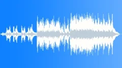 Bad Mojo Swamp (WP) 03 Alt2 (film trailer,upbeat,cowboy,swampy,delta,blues)Stock Music