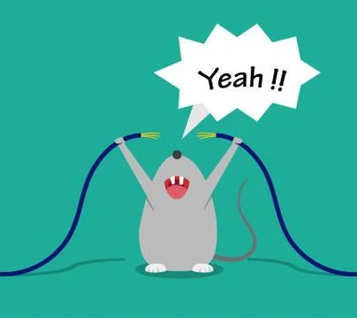 Bad rat happy after bite cable, vector cartoon Stock Illustration