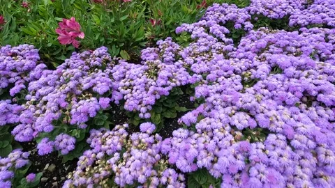 Bad Reichenhall Germany Stock Footage 200977778