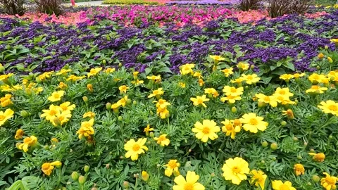 Bad Reichenhall Germany Stock Footage 200978452