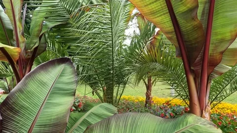 Bad Reichenhall Germany Stock Footage 201395534