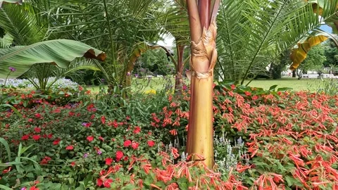 Bad Reichenhall Germany Stock Footage 201395768