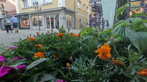 Bad Reichenhall Germany Stock Footage 201502457