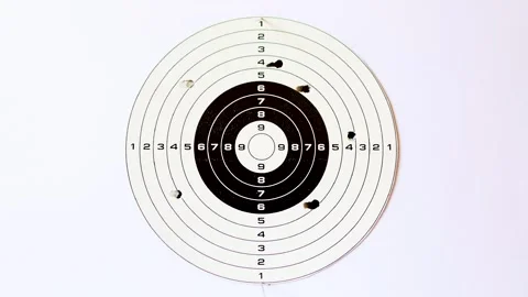 Bad Shot. Missed the Target. Stock Footage 311120480