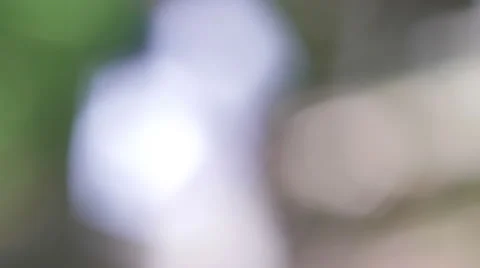 Bad sight problems Видео 58495640