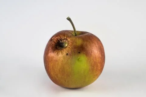 Bad spoiled apple Stock Photos
