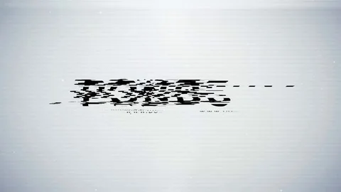 Bad Tv Glitch Logo Stock After Effects
