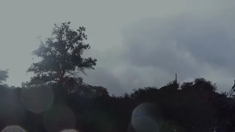Bad Weather Blowing Trees During Heavy Rain Stock Footage 146754146