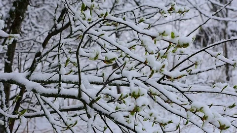 Bad weather Stock Footage 128799621