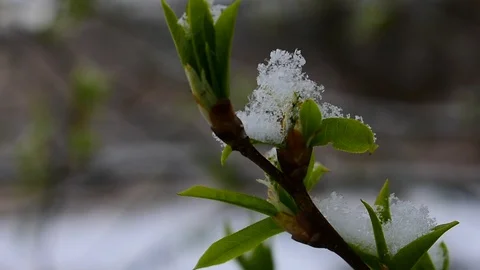 Bad weather Stock Footage 128805425