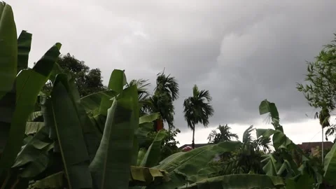 Bad weather Stock Footage 339513314