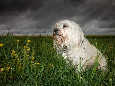 Bad weather Stock Photos