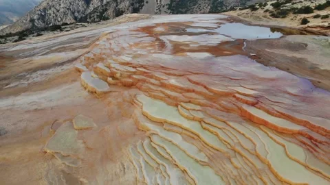 Badab soort 库存影片 147386027