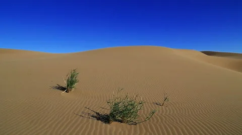 Badain Jaran Desert Stock Footage 44348436