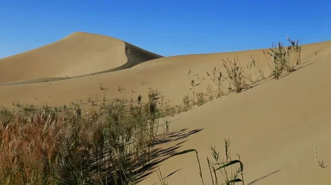 Badain Jaran Desert 库存影片 44348459