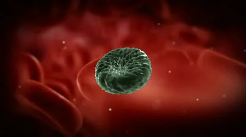 Badcell Stock Footage 10684293