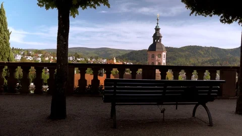 Baden Baden. Stock Footage 112652113