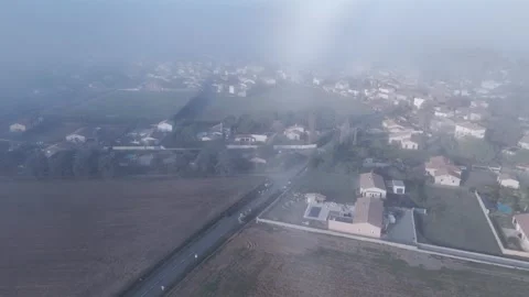 Badens frog Video stock 327643597