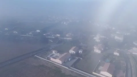 Badens frog Video stock 327643776