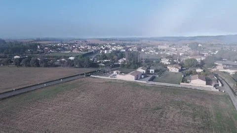 Badens frog side-way Video stock 327643748