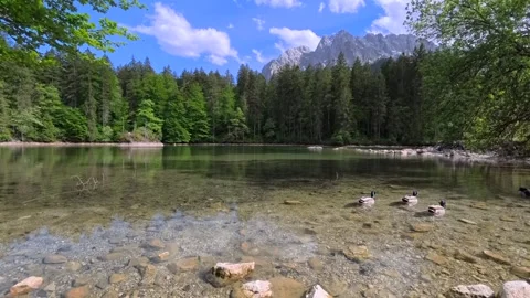 Badersee in Spring near Grainau Stock Footage 337784665