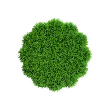 Badge from grass.3D rendering illustration. 库存插图