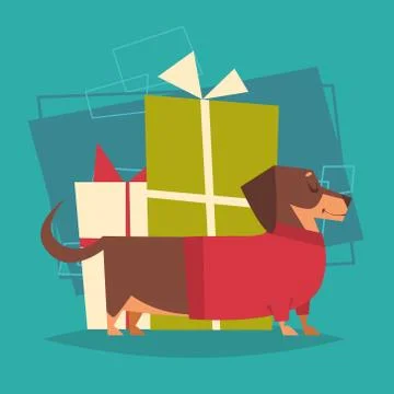 Badger Dog With Gifts Stack Box Wearing Winter Sweater Happy New Year 2018 Stock Illustration