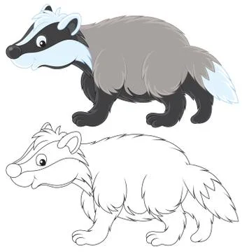 Badger Illustrazione stock