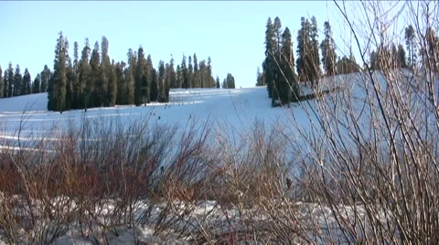 Badger Pass alpine ski area in winter Stock Footage 45869225