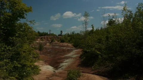 The Badlands framed by Forest Stock Footage 92624636