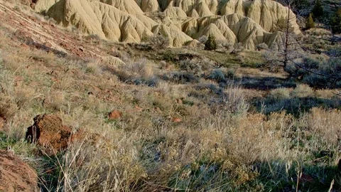 Badlands sutton mountain 2 Painted Hills Oregon 44 Stock-Footage 81580350