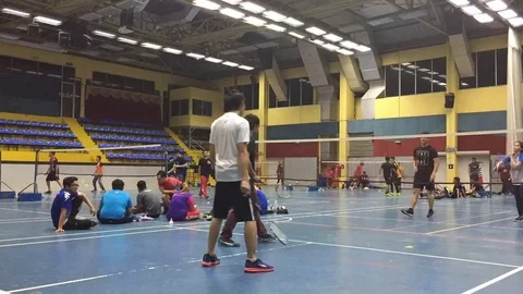 Badminton Stock Footage 87641146