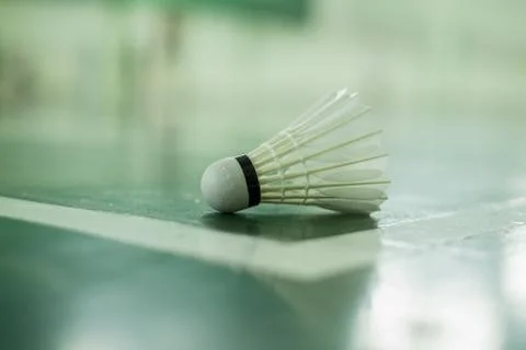 Badminton Stock Photos