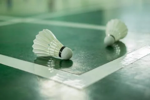 Badminton Stock Photos