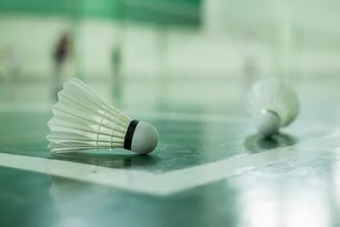 Badminton Stock Photos