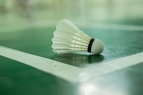 Badminton Stock Photos