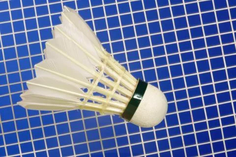 Badminton racket and shuttlecocks Stock Photos