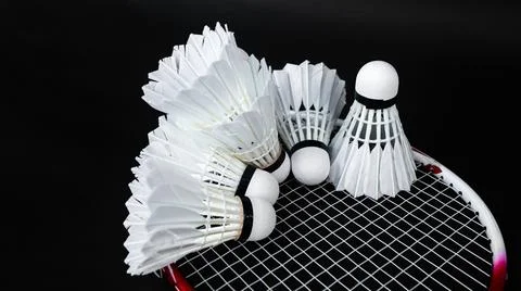 Badminton shutter cocks were put on the racket with dark background Stock Photos