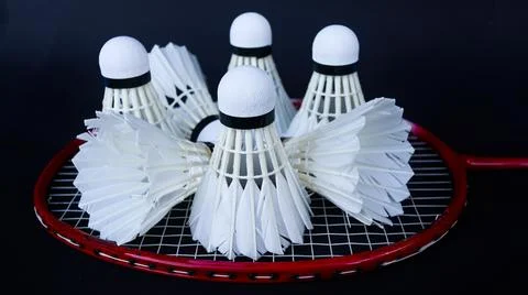 Badminton shutter cocks were put on the racket with dark background Stock Photos