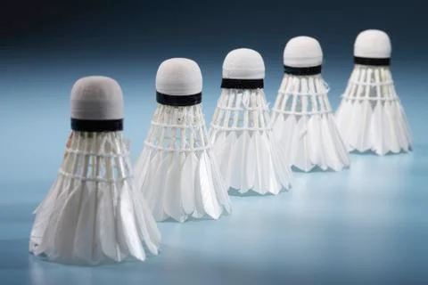 Badminton shuttlecocks in row Stock Photos