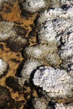 Badwater Basin Stock Photos