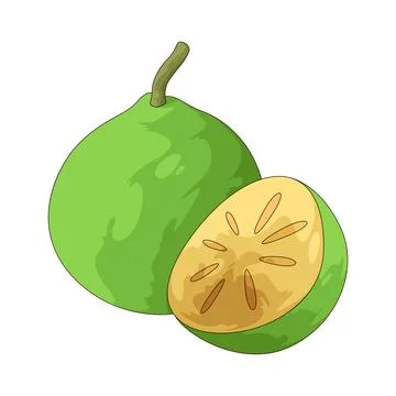 Bael fruit illustration Stock Illustration