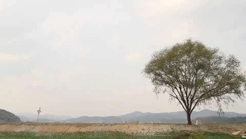 Baeutiful landscape with Autumn tree Stock Footage 8966458